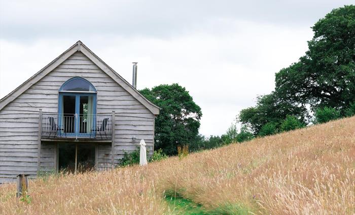 Wild Meadow Cottage